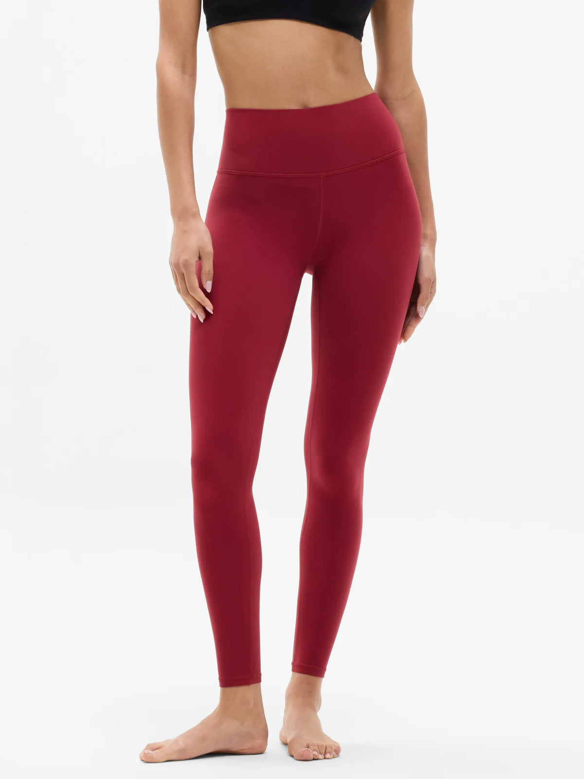 Salutation High Rise Legging